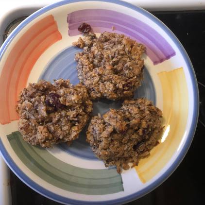 vegan breakfast cookies
